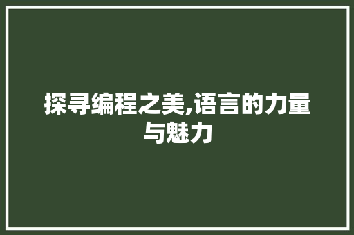探寻编程之美,语言的力量与魅力