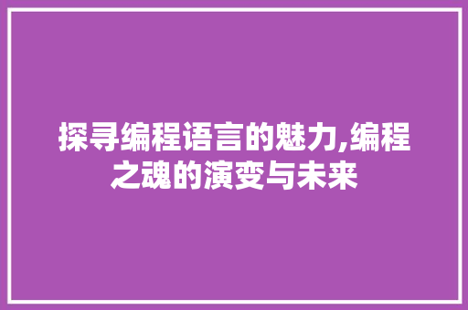 探寻编程语言的魅力,编程之魂的演变与未来 WordPress教程