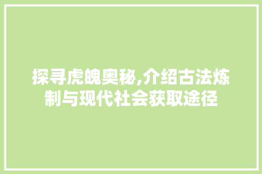 探寻虎魄奥秘,介绍古法炼制与现代社会获取途径