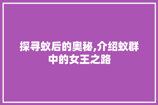 探寻蚁后的奥秘,介绍蚁群中的女王之路 建站教程