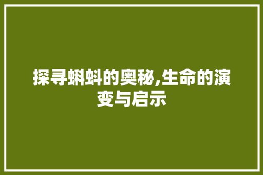 探寻蝌蚪的奥秘,生命的演变与启示 WordPress教程