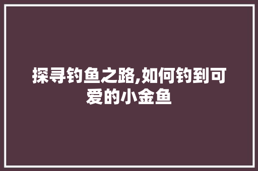 探寻钓鱼之路,如何钓到可爱的小金鱼
