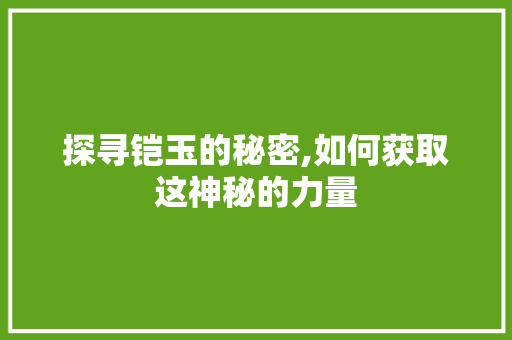 探寻铠玉的秘密,如何获取这神秘的力量