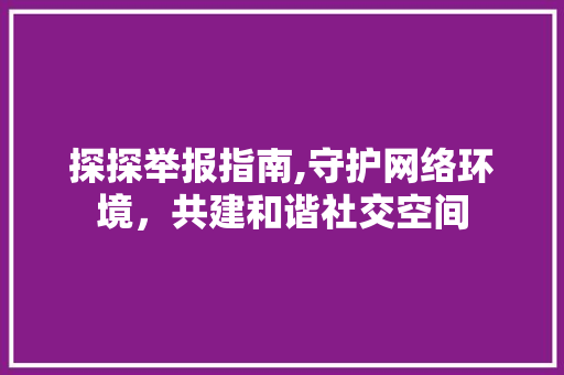 探探举报指南,守护网络环境，共建和谐社交空间