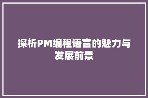 探析PM编程语言的魅力与发展前景