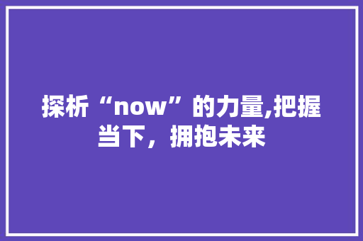 探析“now”的力量,把握当下，拥抱未来