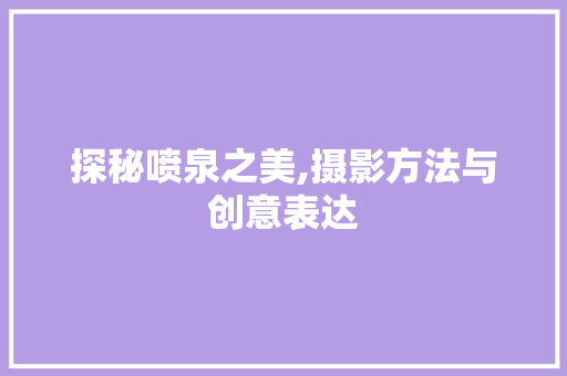 探秘喷泉之美,摄影方法与创意表达