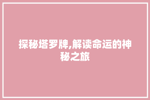 探秘塔罗牌,解读命运的神秘之旅