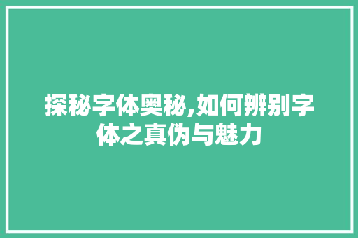 探秘字体奥秘,如何辨别字体之真伪与魅力