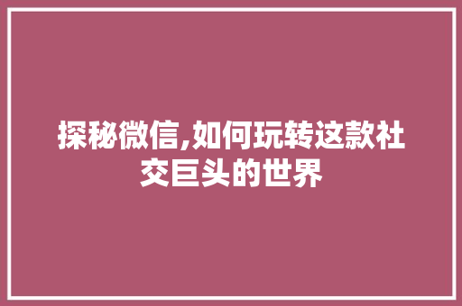 探秘微信,如何玩转这款社交巨头的世界