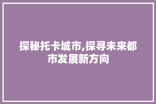 探秘托卡城市,探寻未来都市发展新方向