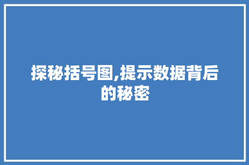 探秘括号图,提示数据背后的秘密