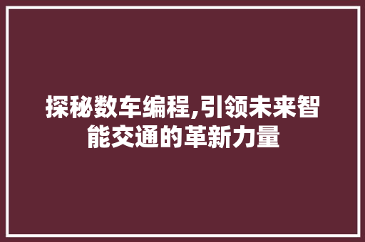探秘数车编程,引领未来智能交通的革新力量