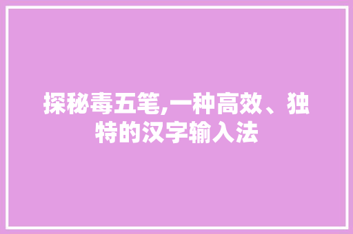 探秘毒五笔,一种高效、独特的汉字输入法