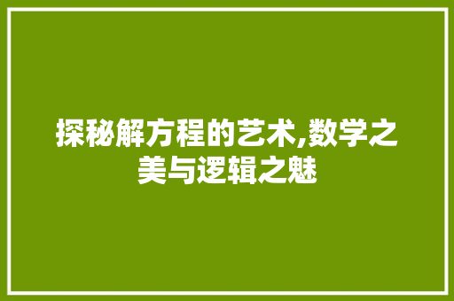 探秘解方程的艺术,数学之美与逻辑之魅