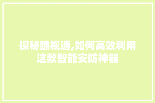 探秘踪视通,如何高效利用这款智能安防神器 SEO教程