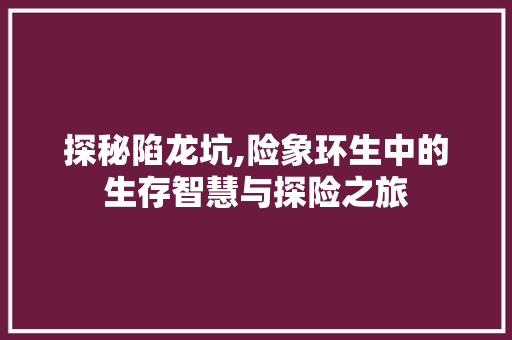 探秘陷龙坑,险象环生中的生存智慧与探险之旅