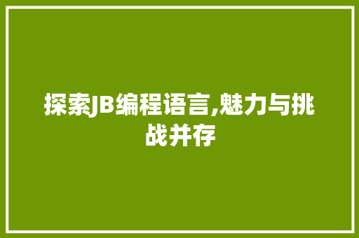 探索JB编程语言,魅力与挑战并存