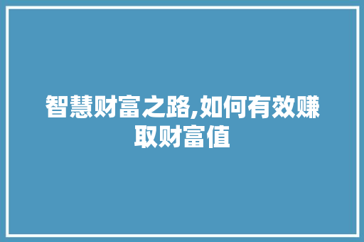 智慧财富之路,如何有效赚取财富值 服务器/数据库