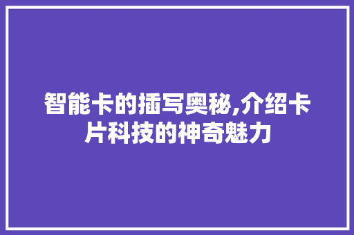 智能卡的插写奥秘,介绍卡片科技的神奇魅力