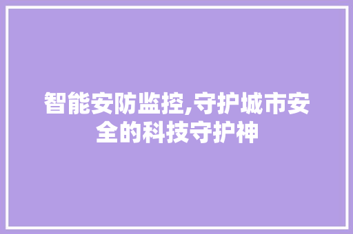 智能安防监控,守护城市安全的科技守护神