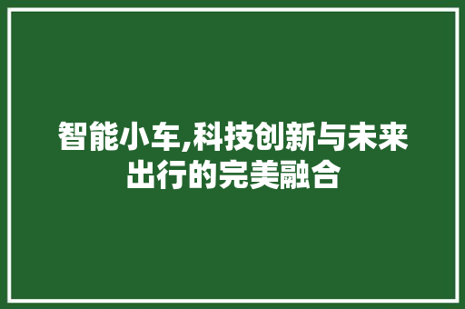 智能小车,科技创新与未来出行的完美融合