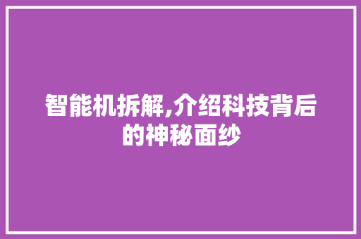 智能机拆解,介绍科技背后的神秘面纱