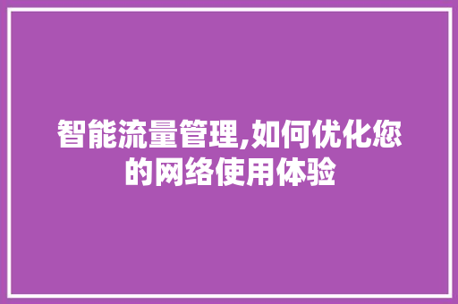 智能流量管理,如何优化您的网络使用体验