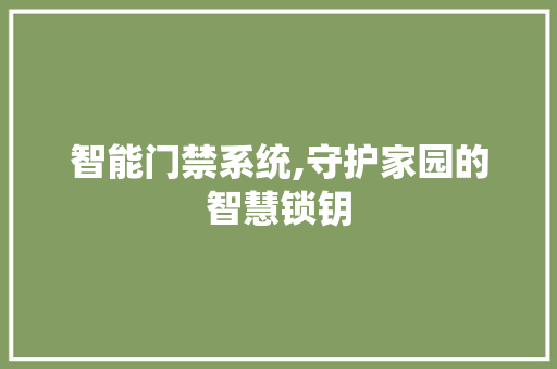 智能门禁系统,守护家园的智慧锁钥 Web前端