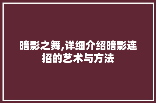 暗影之舞,详细介绍暗影连招的艺术与方法 WordPress教程