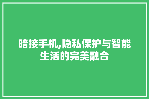 暗接手机,隐私保护与智能生活的完美融合 WordPress教程