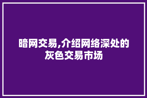 暗网交易,介绍网络深处的灰色交易市场