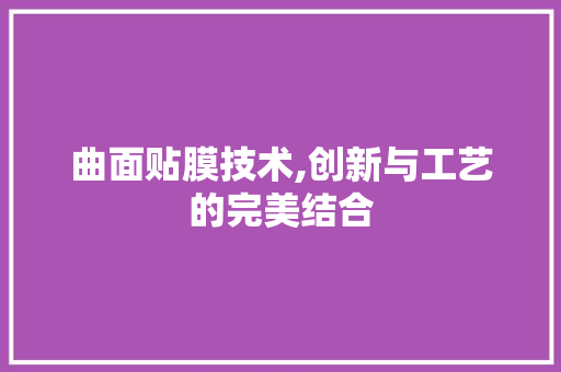 曲面贴膜技术,创新与工艺的完美结合 服务器/数据库