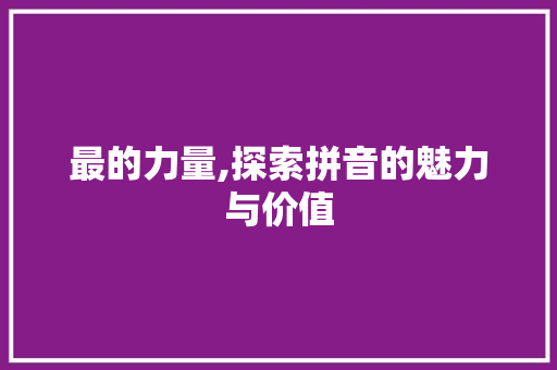 最的力量,探索拼音的魅力与价值