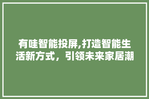 有哇智能投屏,打造智能生活新方式，引领未来家居潮流 WordPress教程