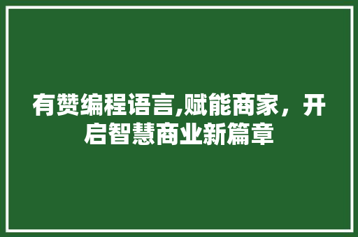 有赞编程语言,赋能商家，开启智慧商业新篇章 Web前端