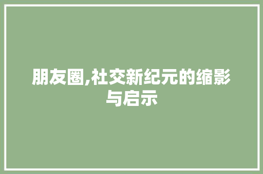 朋友圈,社交新纪元的缩影与启示 WordPress教程