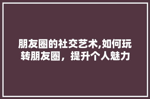 朋友圈的社交艺术,如何玩转朋友圈，提升个人魅力