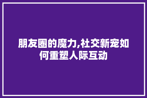 朋友圈的魔力,社交新宠如何重塑人际互动