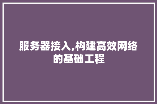 服务器接入,构建高效网络的基础工程