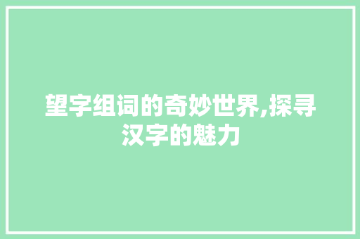 望字组词的奇妙世界,探寻汉字的魅力
