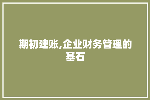 期初建账,企业财务管理的基石