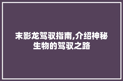 末影龙驾驭指南,介绍神秘生物的驾驭之路