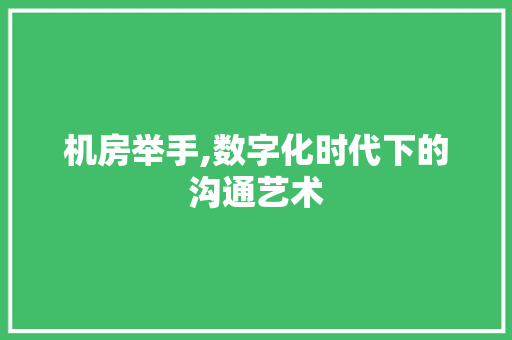 机房举手,数字化时代下的沟通艺术