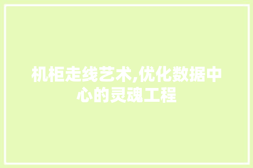 机柜走线艺术,优化数据中心的灵魂工程
