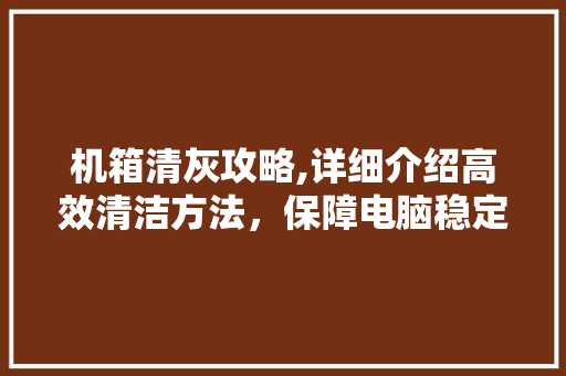 机箱清灰攻略,详细介绍高效清洁方法，保障电脑稳定运行 WordPress教程
