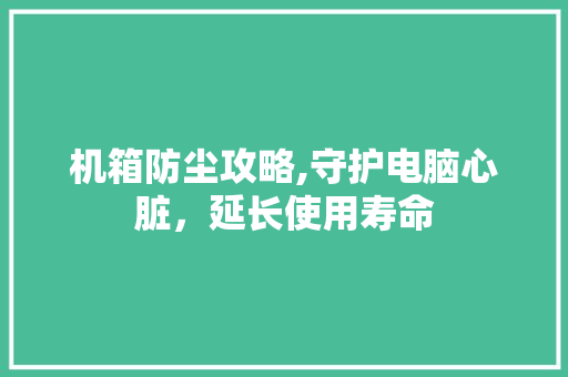 机箱防尘攻略,守护电脑心脏，延长使用寿命