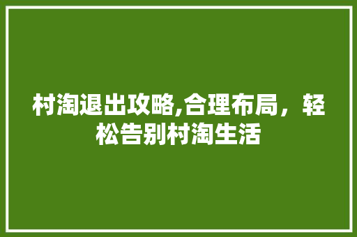 村淘退出攻略,合理布局，轻松告别村淘生活 SEO教程