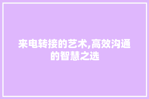 来电转接的艺术,高效沟通的智慧之选 Web前端