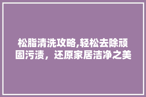 松脂清洗攻略,轻松去除顽固污渍，还原家居洁净之美